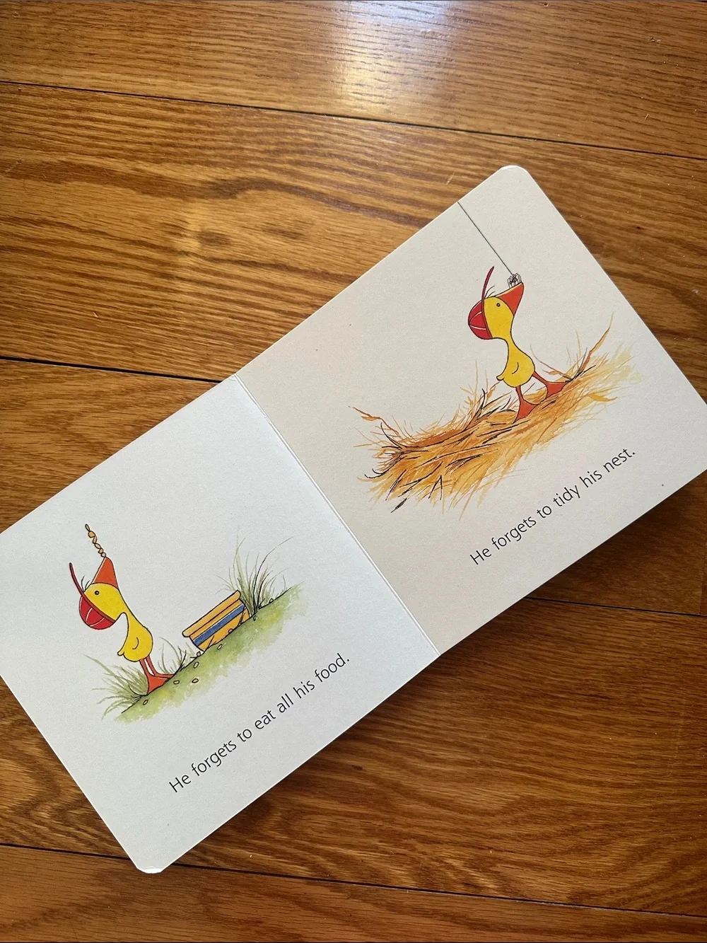 Peedie Board Book by Olivier Dunrea